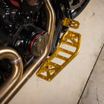 Load image into Gallery viewer, Aggressor Floorboards / Gold
