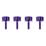 Load image into Gallery viewer, CNC-Machined Aluminum Saddlebag Security Knobs – Two-Tone Design (Set of 4)
