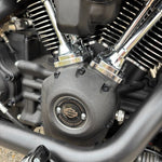 Load image into Gallery viewer, HOGWORKZ® Full Engine Bolt Kit for M8 Harley® Touring &amp; Softail
